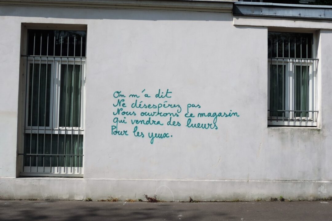 DSCN5318 (2) (Copier) - Copie