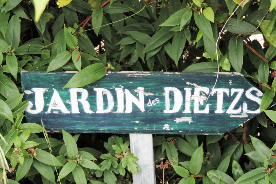 Lire la suite à propos de l’article J&rsquo;ai descendu dans mon jardin…