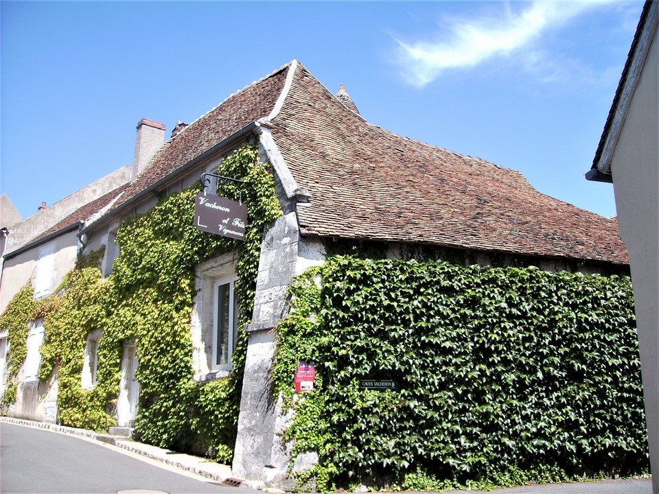 Maison de vigneron