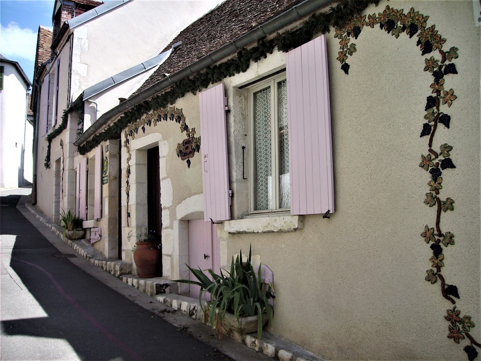 L'importance de la vigne